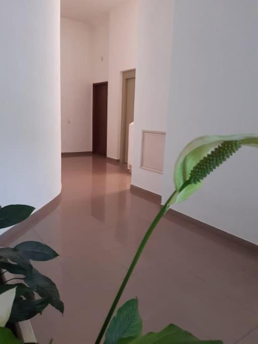Apartamento Batalha - Quarteira, Algarve, Portugal Esterno foto